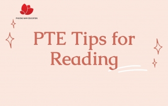 Lấy trọn điểm bài thi PTE Reading điền vào chỗ trống